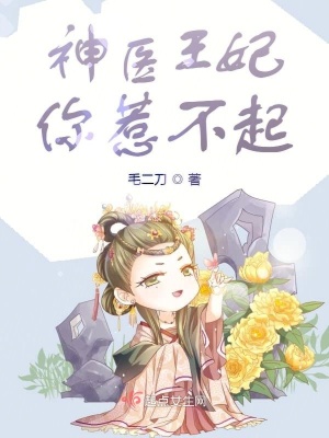 神医王妃你惹不起